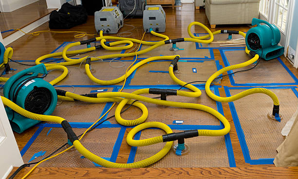 Professional Storm Water Damage Restoration technician working in Mansfield, AR